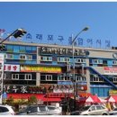 어시장 - 달서구 | 어시장