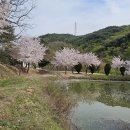 환성사