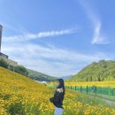 율하천R 이미지