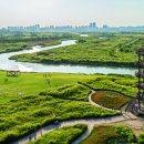 갯골생태공원 이미지