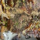 더맛있는족발보쌈(방학점) 이미지