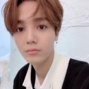 온더미르