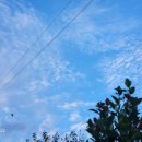 공인중개사김현영사무소 이미지