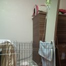 루비마로 이미지