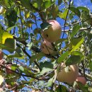 세인농장 이미지