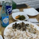 중부-을지-중부-2397 | 을지로 정라진 막회 삼척골뱅이 맛집 ( feat. 을지장만옥)