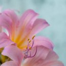 동포옛길 이미지