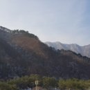 구룡령황토팬션