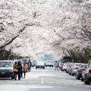 삼익(아) 이미지