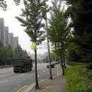 용구대로 2771번길 이미지