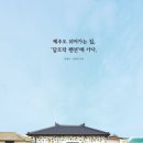 담뜨락 이미지