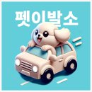 복탄산수 이미지