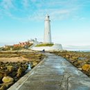 일산식당 이미지