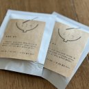 스테이 고집 이미지