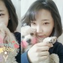 푸푸 이미지