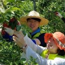 전국금융산업노동조합 NH농협지부 전남 이미지