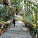 명신초교 이미지