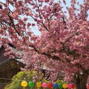 수행농장 이미지