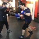 챔프복싱짐 이미지