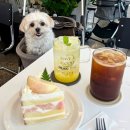 (주)천호금속 | 애견동반 천호동 카페 피크플래버 생과일케이크는 여기가 최고