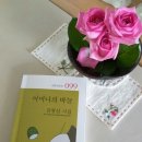 시와시학(Poetry & Poetics) 등단 작가 대사9회 김선자(金善子) 시인, 노픽션 작가 소개 이미지