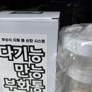 헬로구피 이미지