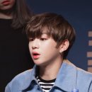 털찐 몽몽이 이미지