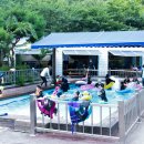 화이트밸리 이미지