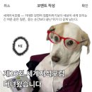 미셀의원 | 「매일경제」 제26회 세계지식포럼 | 다녀왔다네 정말로