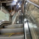 관악기(섹소폰) | 임태훈 호른 독주회 관람 후기