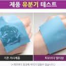 피오리다 이미지