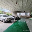 게스트 145 이미지