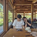 35/9/2(화) 이미지