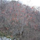 목우농장 이미지