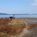 장선포2 이미지