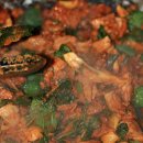 보라배기민박 | 2011.08.06-08.09 | 여름휴가 | 지리산 계림정