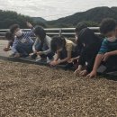 전주대성초등학교 이미지