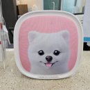 24시굿케어동물의료센터 이미지