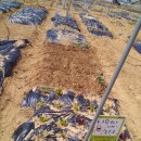 시은이네 농장 이미지