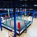 버팔로 체육관 이미지