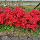 소사동 행정복지센터 이미지