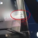 코끼리유흥주점 이미지