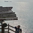 송선로-4 | 대련 가볼만한곳 금석탄 지질공원부터 교통대 야시장까지 바쁜 2일차