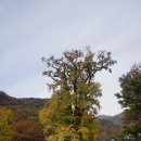 용문산 이미지