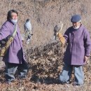 매사냥체험홍보관 이미지