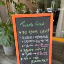 터틀파스타 이미지