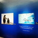 (주)자연과생명 | 9월 서울 전시회 내셔널지오그래픽 전시 후기