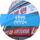 플렉스모터샵