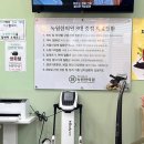 청솔한의원 | 대구 8체질검사 녹원 한의원 내 돈 내산 후기 (토양 체질/금양 체질)
