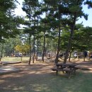 청포대숲속야영장 이미지